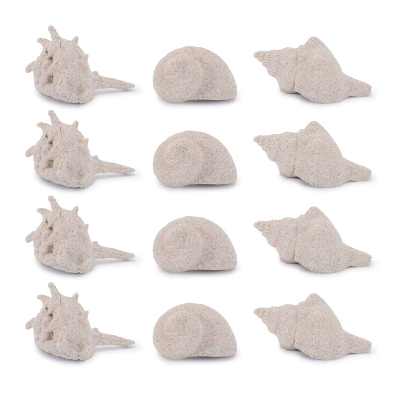 Sea Shell Filler Décor