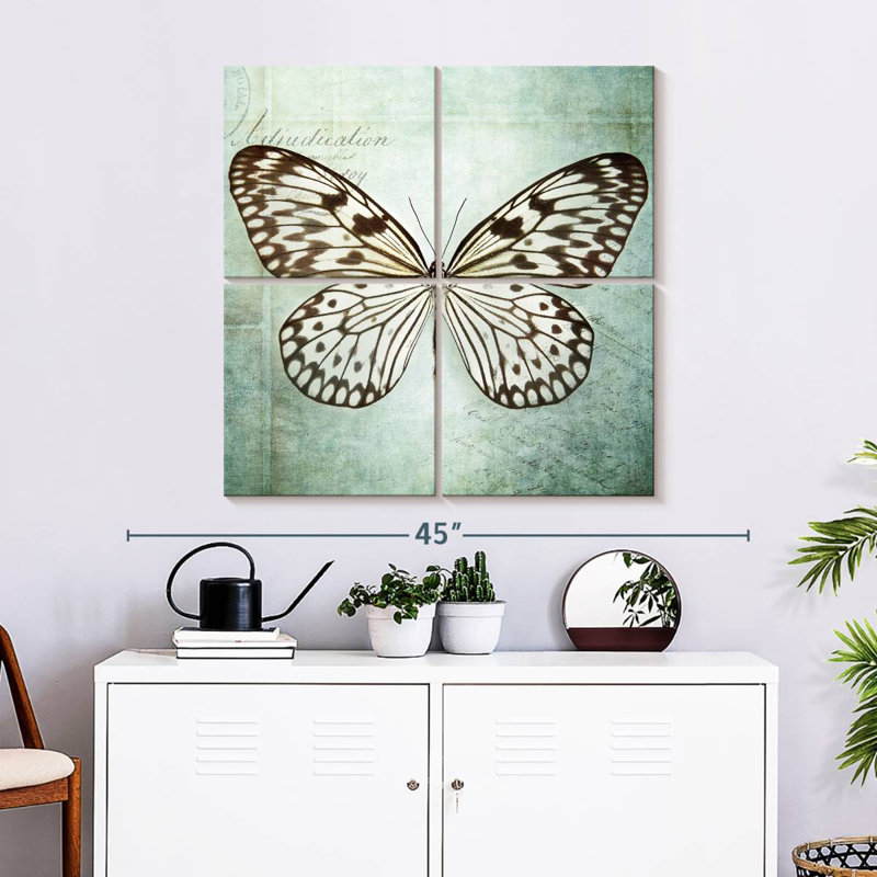 Brampt papillon français VI