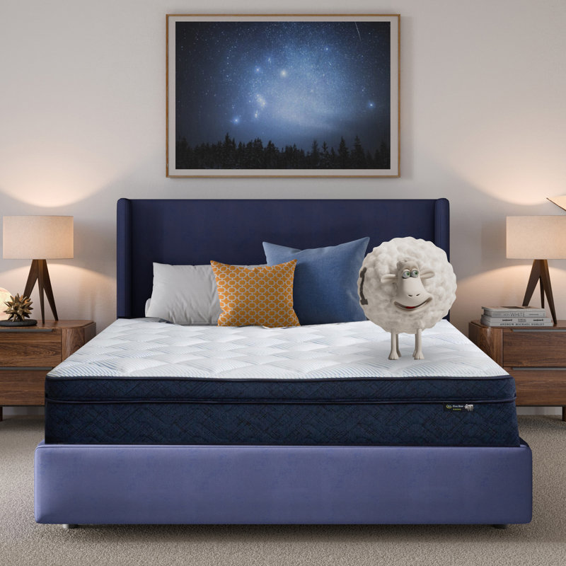 Serta Five Star Mattress Sleep to Go Plush Pillow Top Mattress in a Box, California King, 12"