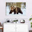 Adulte grizzly-107671334