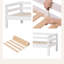 Eco Dream European Single (90 X 200 Cm) Standard-98413294-96505114