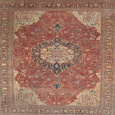Danyale Oriental Indoor Rug