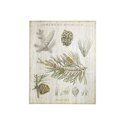 Toile texturée embellie à la main Woodland
