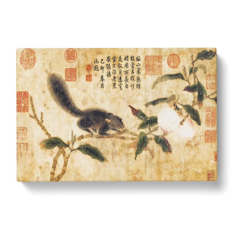 Squirrel On A Tree by Qian Xuan - Wrapped Canvas Painting, 40cm H x 60cm W x 3cm D