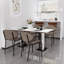 Reimer Upholstered Dining Chair-1032761814-1032761808