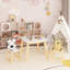 5 Piece Kiddy Table and Chair Set