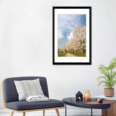 «Crabapple Trees with Blooms, Louisville, Jefferson County, Kentucky, USA», reproduction de photo sur toile