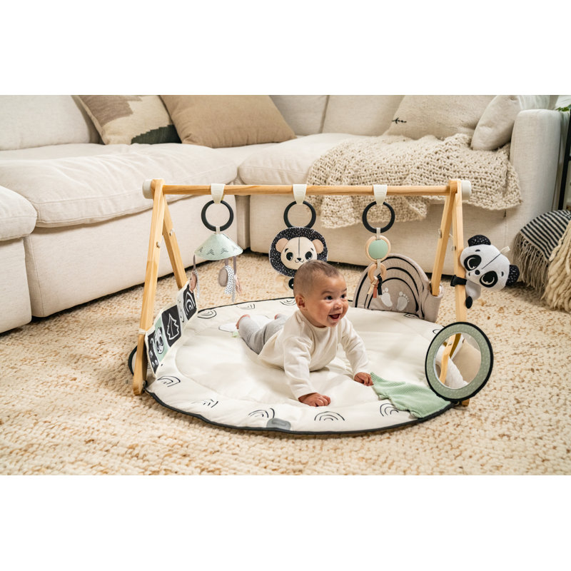 Tiny Love Luxe Developmental Gymini