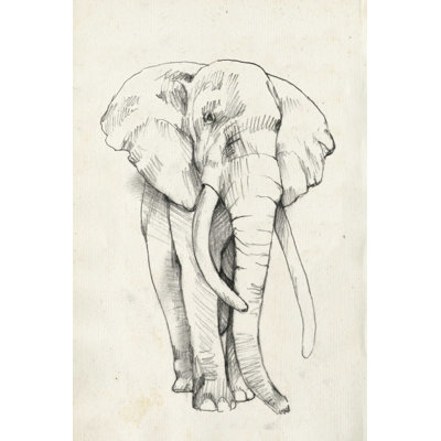 Portrait d'éléphant II