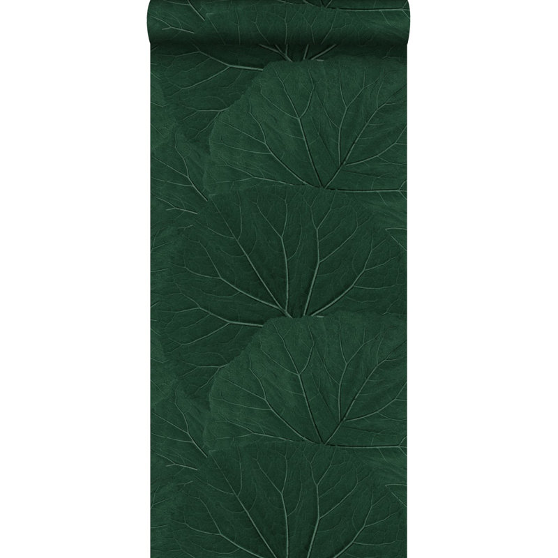 Feuilles doubles, À feuilles persistantes