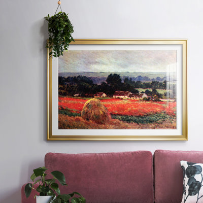 Le coquelicot Blumefeld (la grange)
