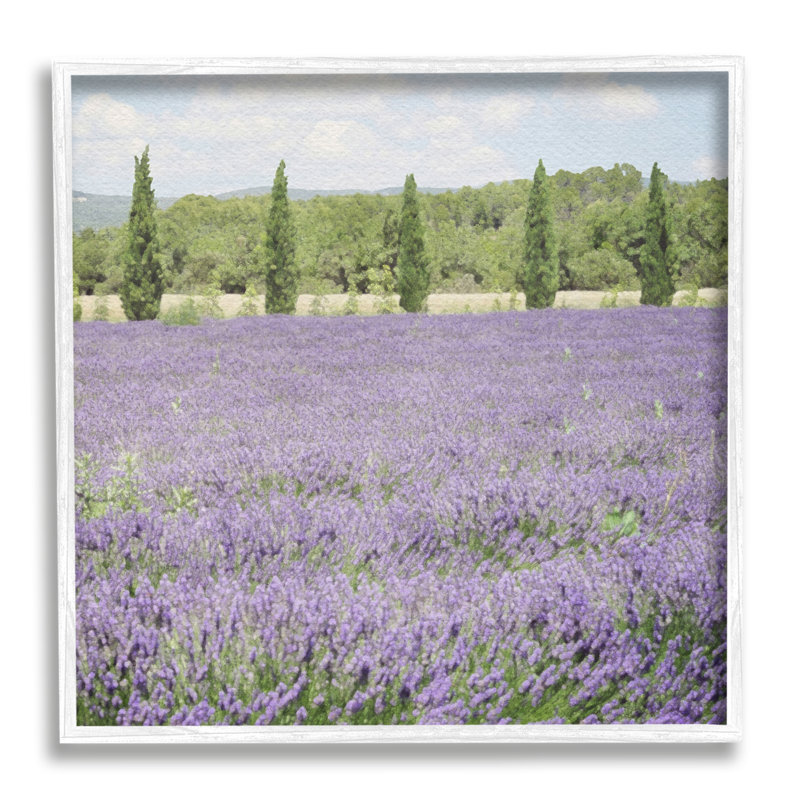 «Country Lavender Meadow», impression encadrée sur bois, H 12 po x l 12 po x P 1,5 po, Giclée encadrée blanc bord de mer
