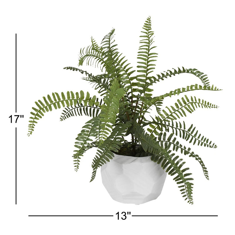 Plante à heather