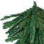 Faux feston en pin
