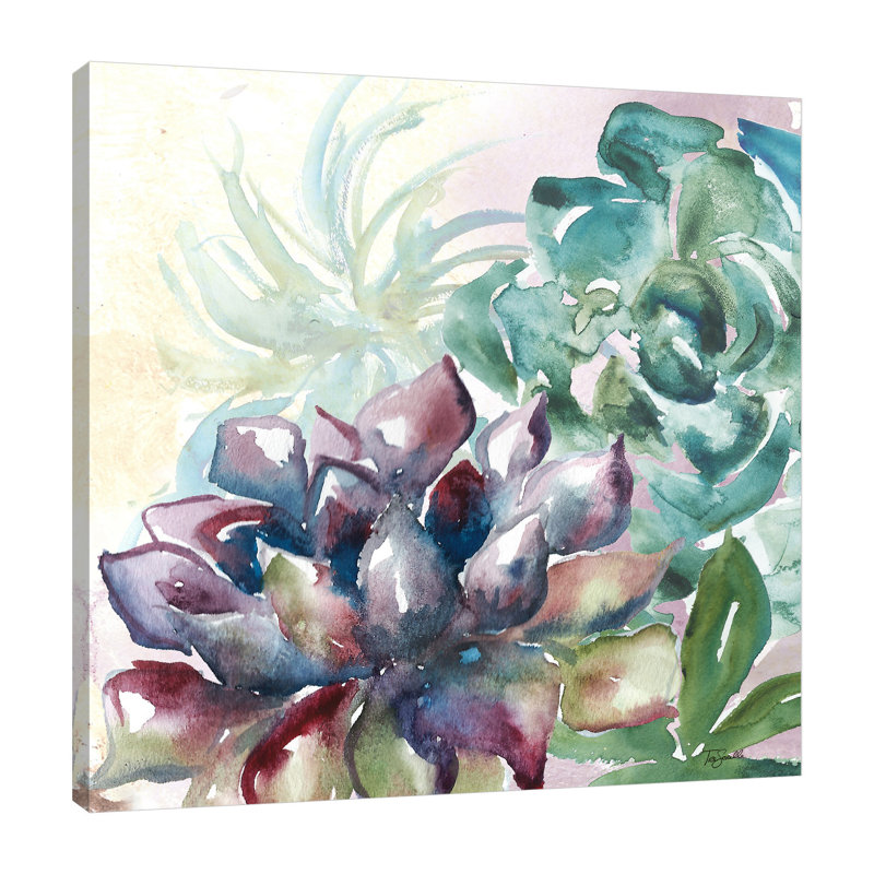 «Succulent VI», reproduction sur toile tendue, H 12 po x l 12 po x P 1,5 po