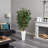 Bamboo Tree in White Tower Planter
