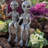 Ensemble de statue 2 pièces Old Alien Outer Space Alien Dude and Babe