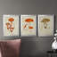 «Mushroom Variétés IV», reproduction encadrée de qualité supérieure - prête à être accrochée-1015935026-1015935021-1015887996