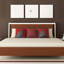 Coussin The Bird-1408581044