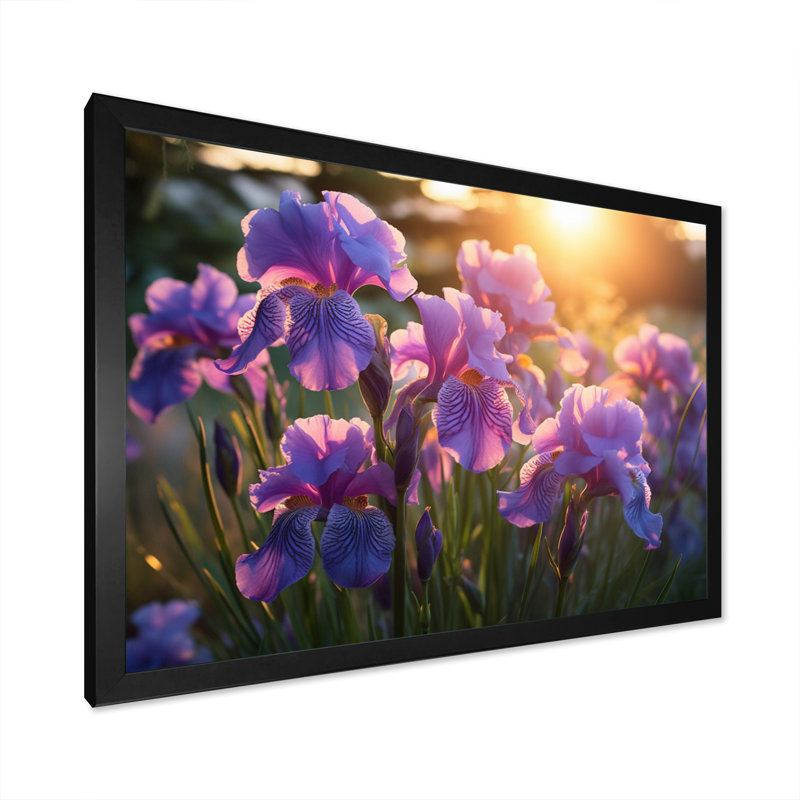 Champ d'iris mauve avec coucher de soleil III, Cadre simple noir, H 12 po x l 20 po x P 1 po