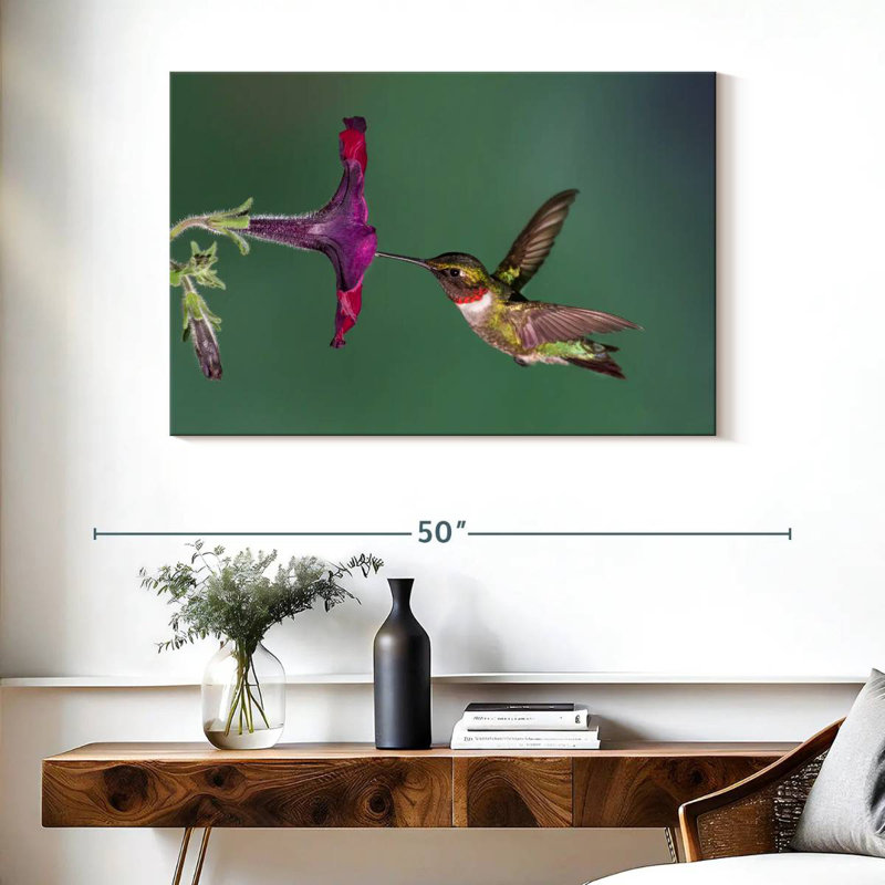 Nectar Brampt suçant un colibri, H 26 po x l 39 po