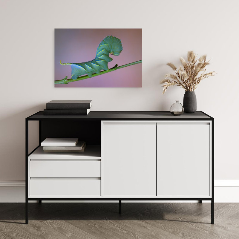 Vibrant Green Caterpillar Vibrant Animal Nature Wall Art Print 1 Piece Wrapped Canvas Wall Art, 40.64cm H x 60.96cm W