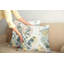 Paquet de 2 housses de coussin Ambesonne Eucalyptus-99021503-99021504