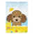 Caniche (chocolat / brun)