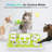 Interactives Cat Slow Feeder Kitty Puzzle With Wand Toy