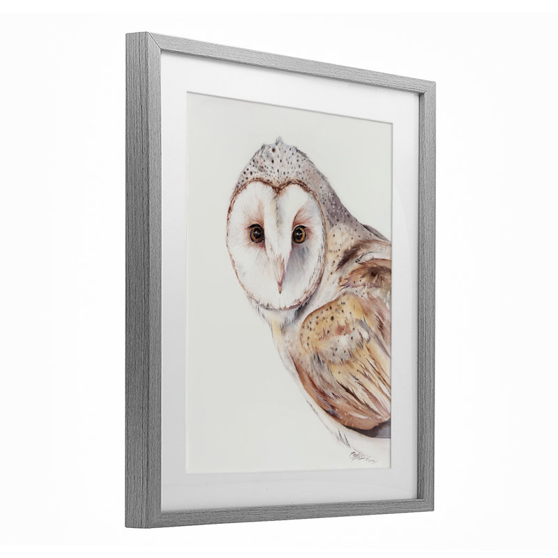 «Peeking Barn Owl Gaze», reproduction encadrée sous verre, conception de Cady, H 21 po x l 17 po, Cadre de ferme gris
