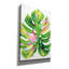 Bay Isle Home™ 'Colourful Tropical Leaf 1' by Danhui Nai Canvas Wall Art-1797798352
