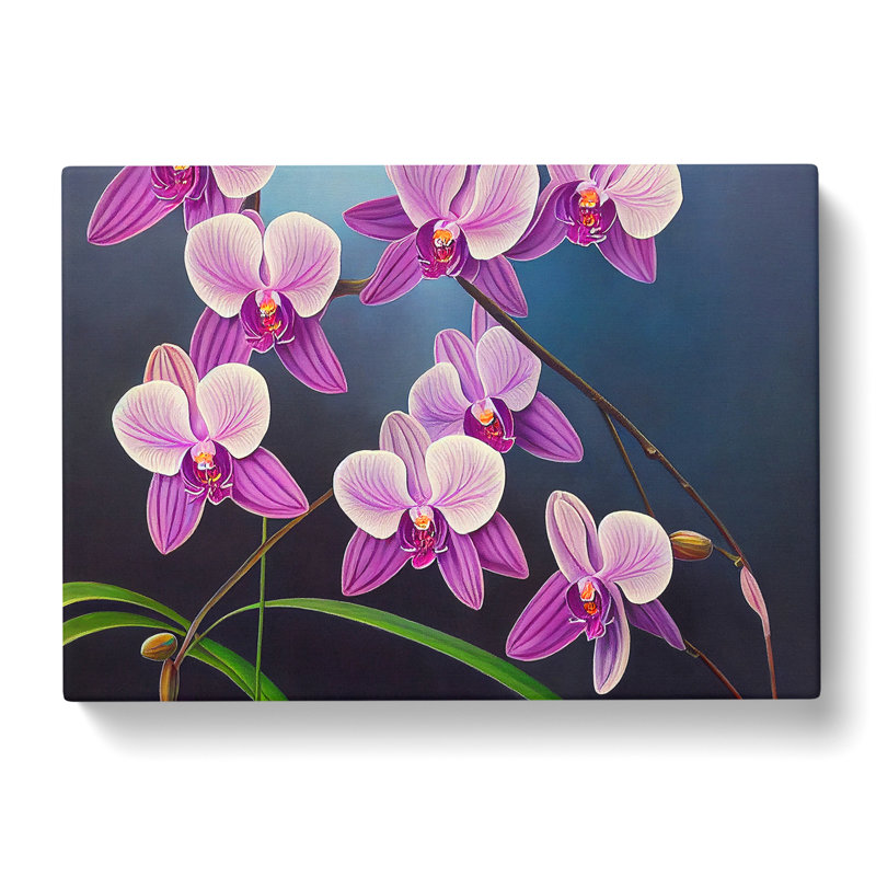 Sweet Orchid Flowers - Wrapped Canvas, 50cm H x 76cm W x 3cm D