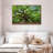 Old Oak Tree-37457944-37457936