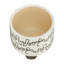 S / 2 pot à fleurs griffonné 6/8 po, beige