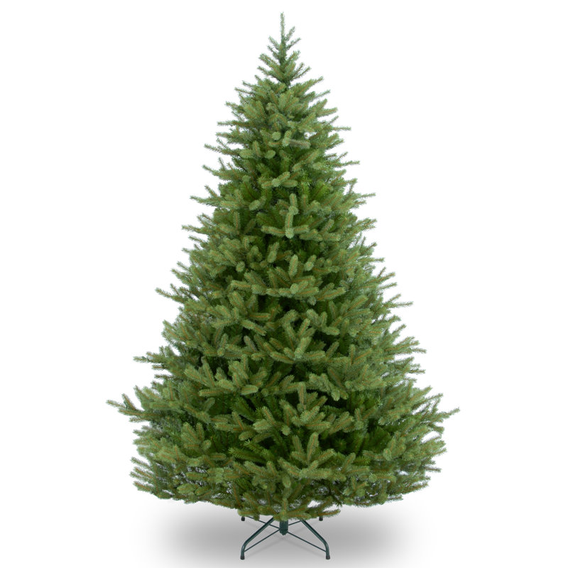 Sapin de Norvège, H 9 pi