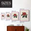 Impression florale vintage encadrée CXC III - bois massif