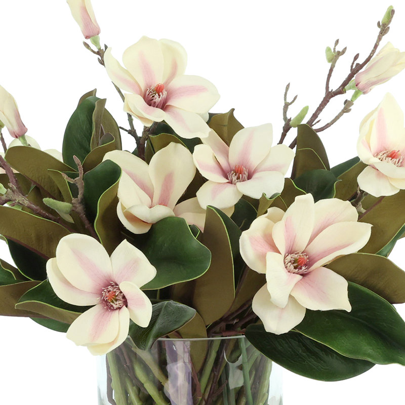Magnolia Arrangement in Glass Vase