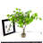 Artificial Greenery Willow Bell Branch in Vase