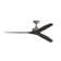 Spitfire 60 Inch Indoor/Outdoor Propeller Ceiling Fan with Remote Control