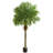 Faux Palm Tree in Planter-466464792
