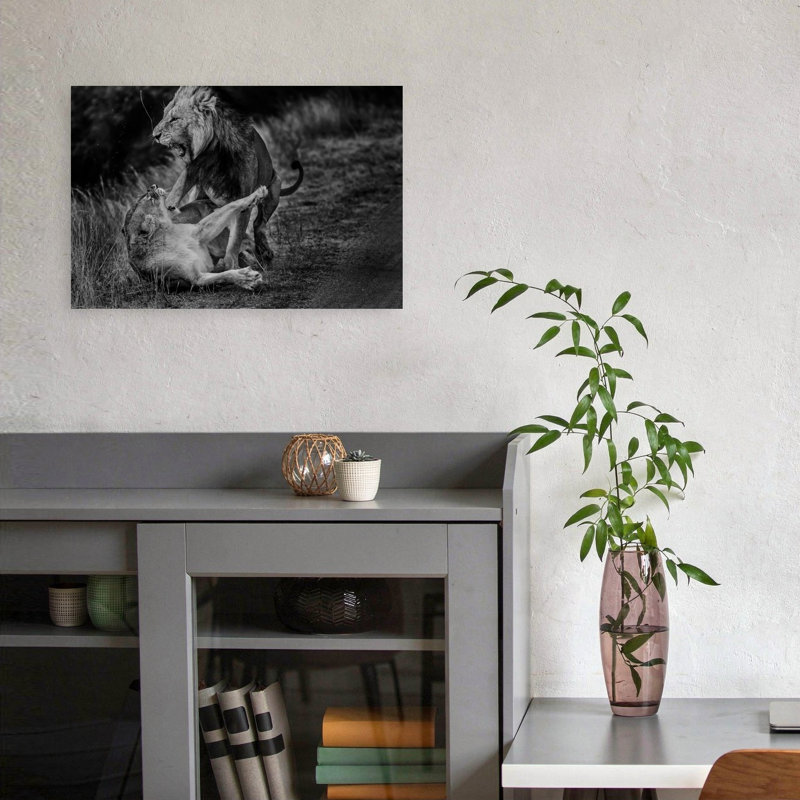Roaring African Lions Contemporary Wall Art Print 1 Piece Wrapped Canvas Wall Art, 30.48cm H x 45.72cm W