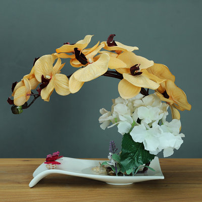 Orchidée papillon