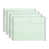 Feuille verte