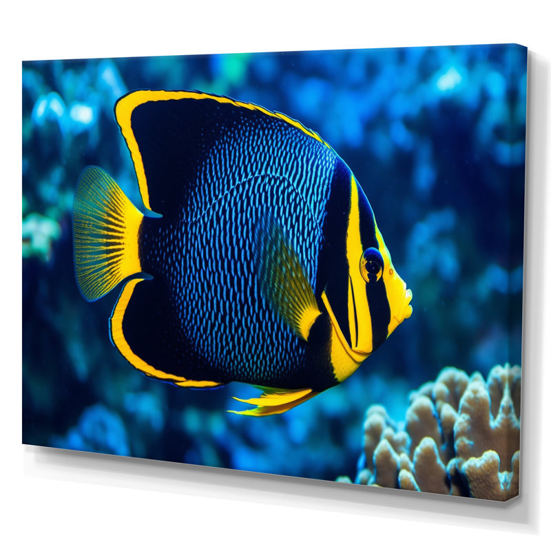 " Finned Fish Wonders II ", 34" H x 44" W x 1.5" D, Wrapped Canvas