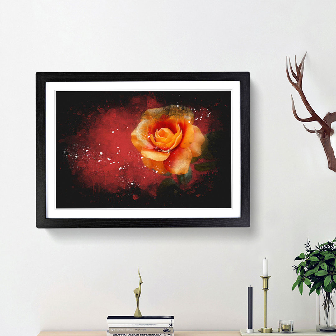 Orange Rose in Bloom - Picture Frame Graphic Art Print