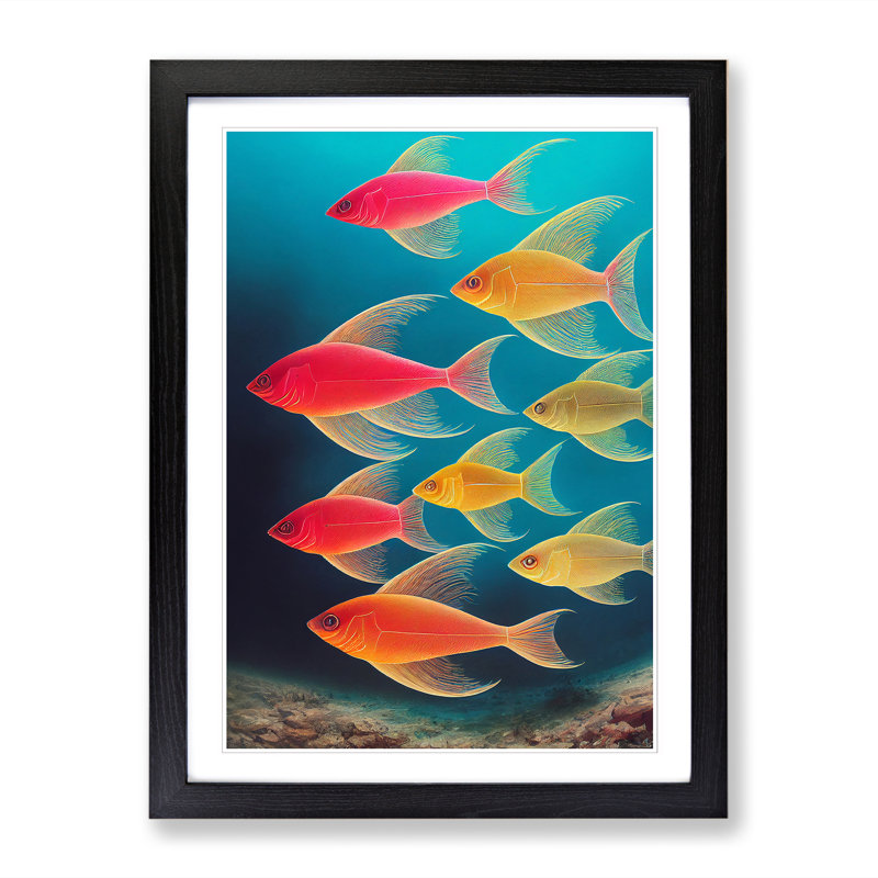 School Of Fish Vol.5 - Single Picture Frame Print, Black, 64cm H x 46cm W x 2cm D