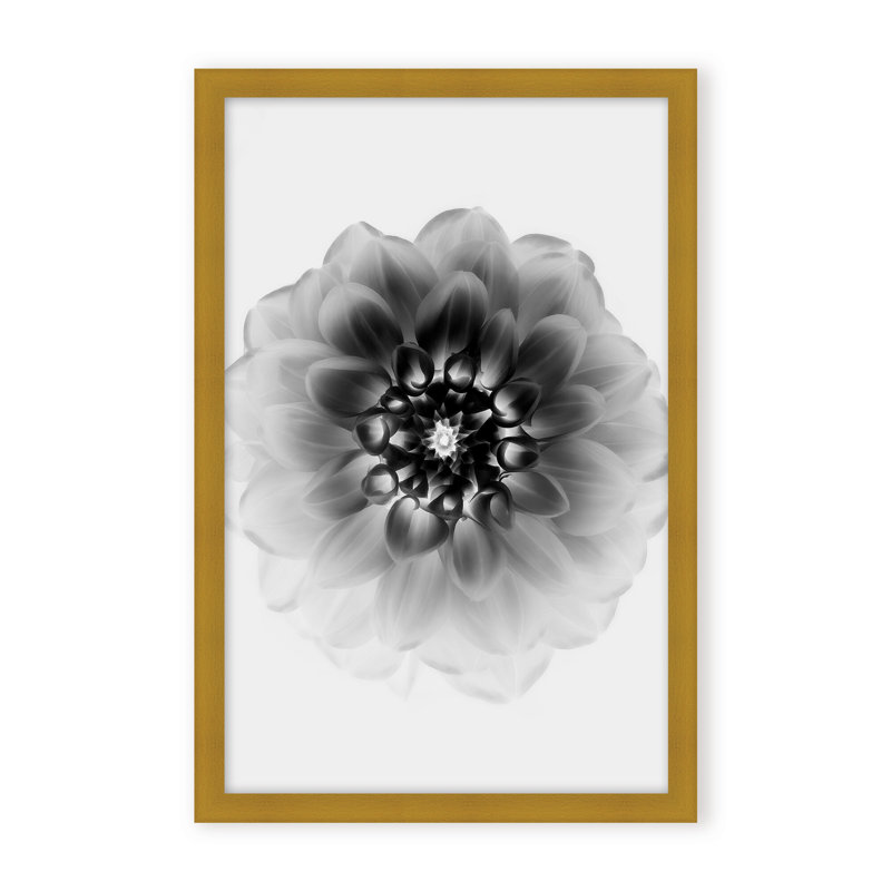 X-Ray Print by Alex Zhao, 36" H x 24" W x 1.125" D, Framed Matted Print, Gold