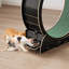 40.55cm H Cat Tree