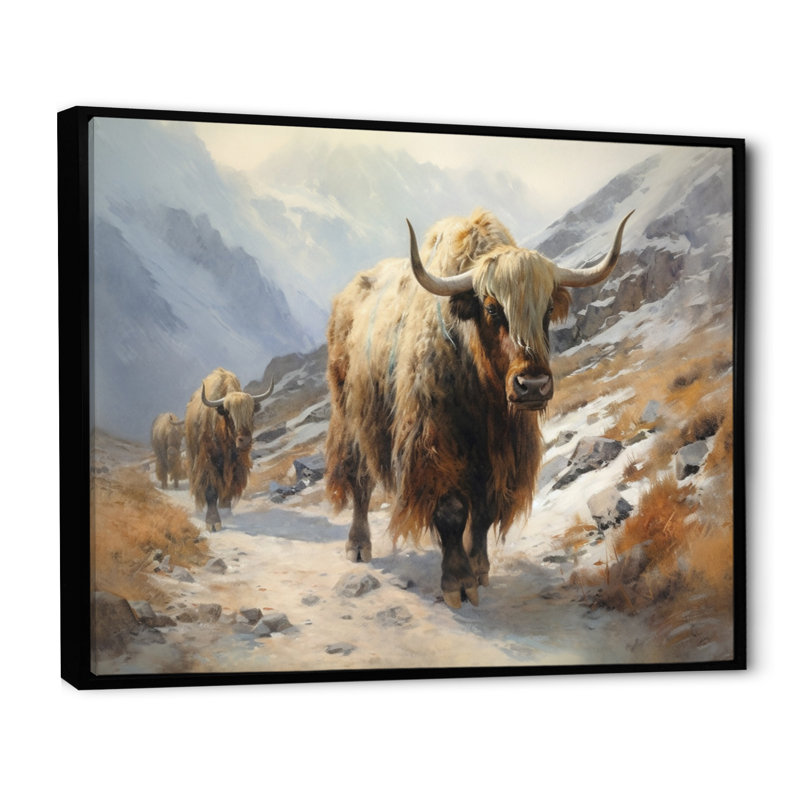 Wild Yak I sur impression sur toile, Cadre flottant noir, H 12 po x l 20 po x P 1 po