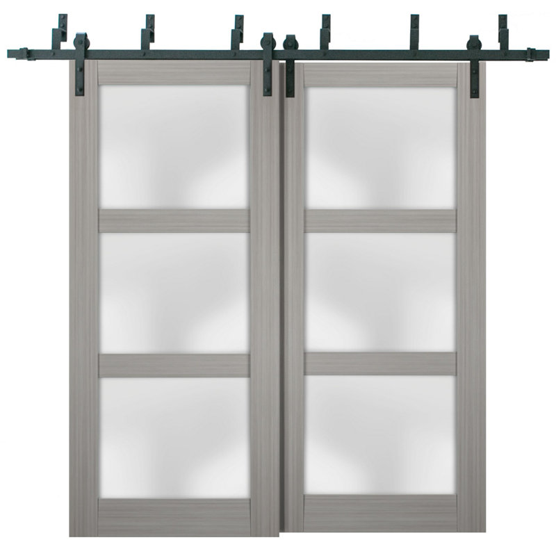Portes de grange en verre givré Lucia avec quincaillerie d'installation, Bois de frêne gris, 36 po x 84 po